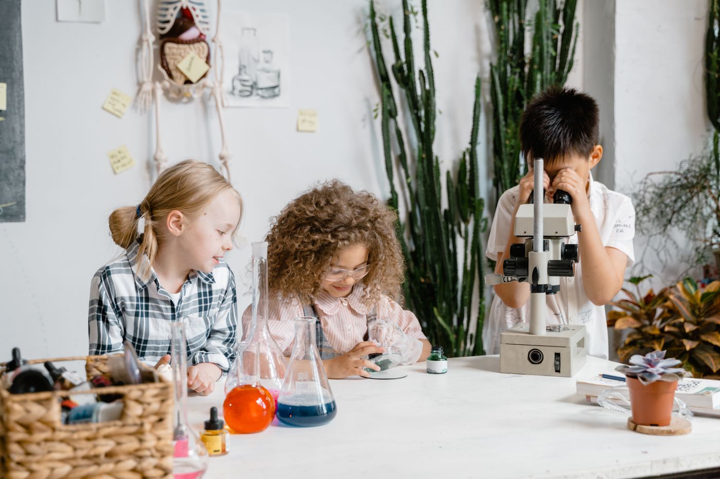 Grup d'alumnes fent un experiment de ciències en un laboratori escolar